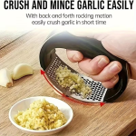 Stainless Steel Garlic Press 10cm, Heavy Duty Mincer for Garlic Ginger, Easy Clean Kitchen Gadget